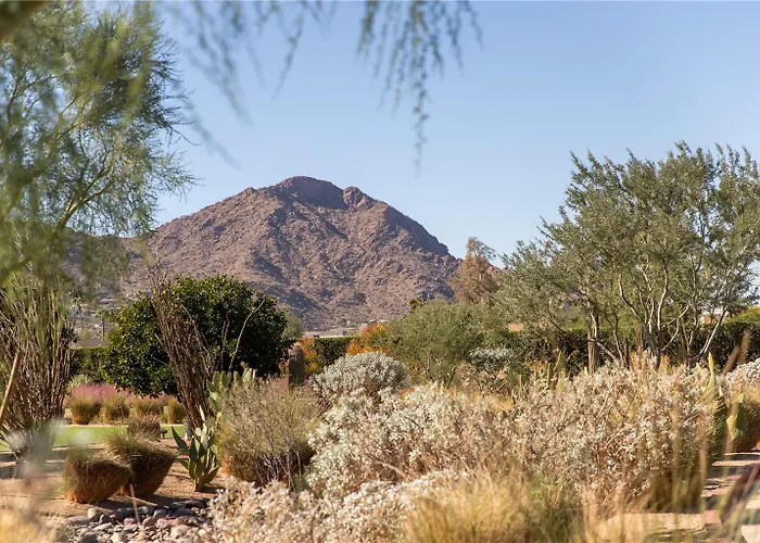 Andaz & Resort Scottsdale